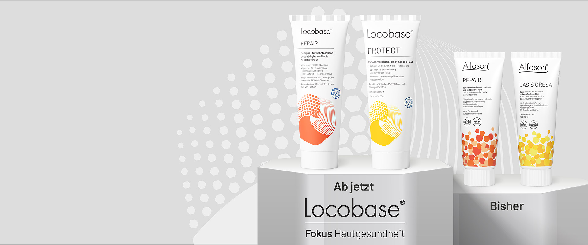 Alfason - Locobase
